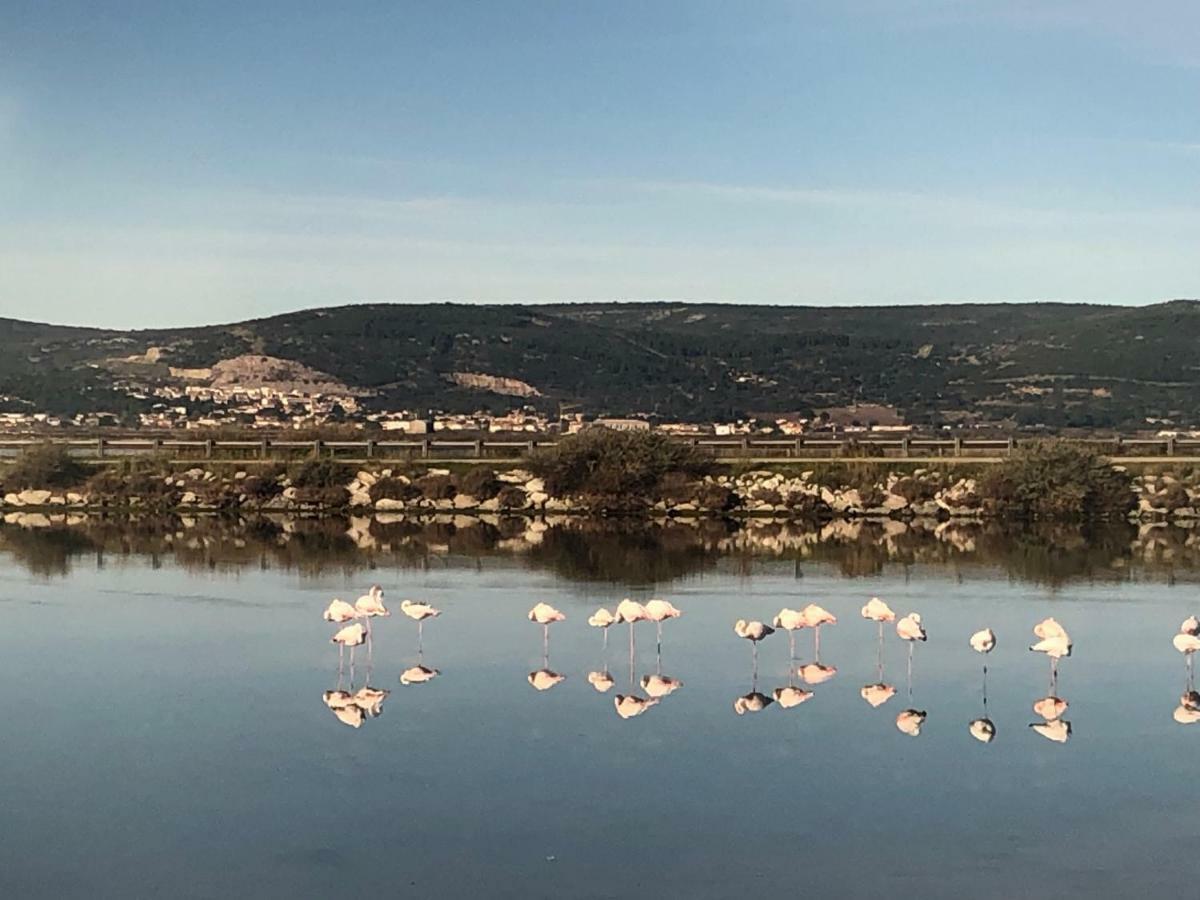 Flamants Roses 3 フロンティニャン エクステリア 写真